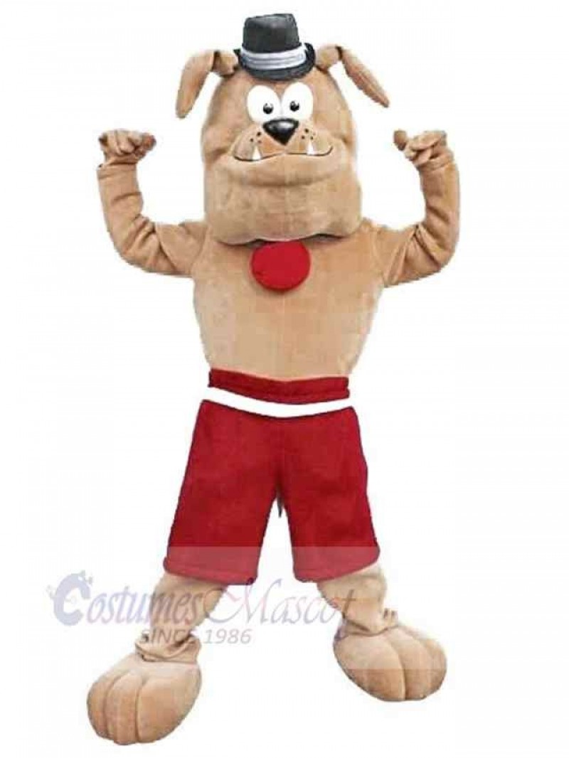 Dog mascot costume