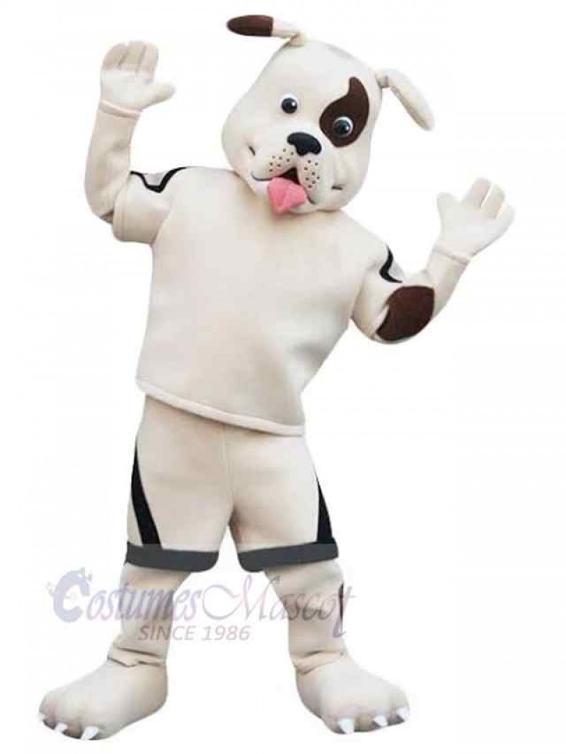 Dog mascot costume