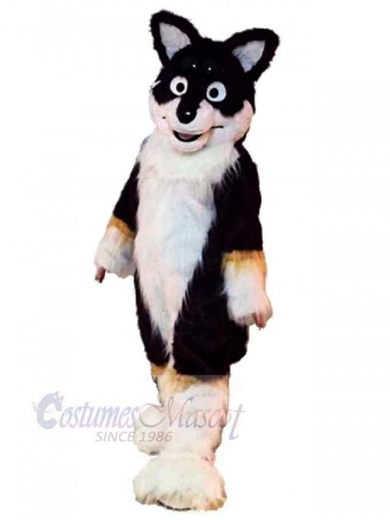 Dog mascot costume