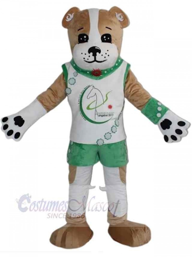Dog mascot costume