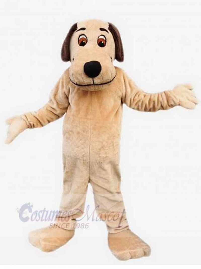 Dog mascot costume