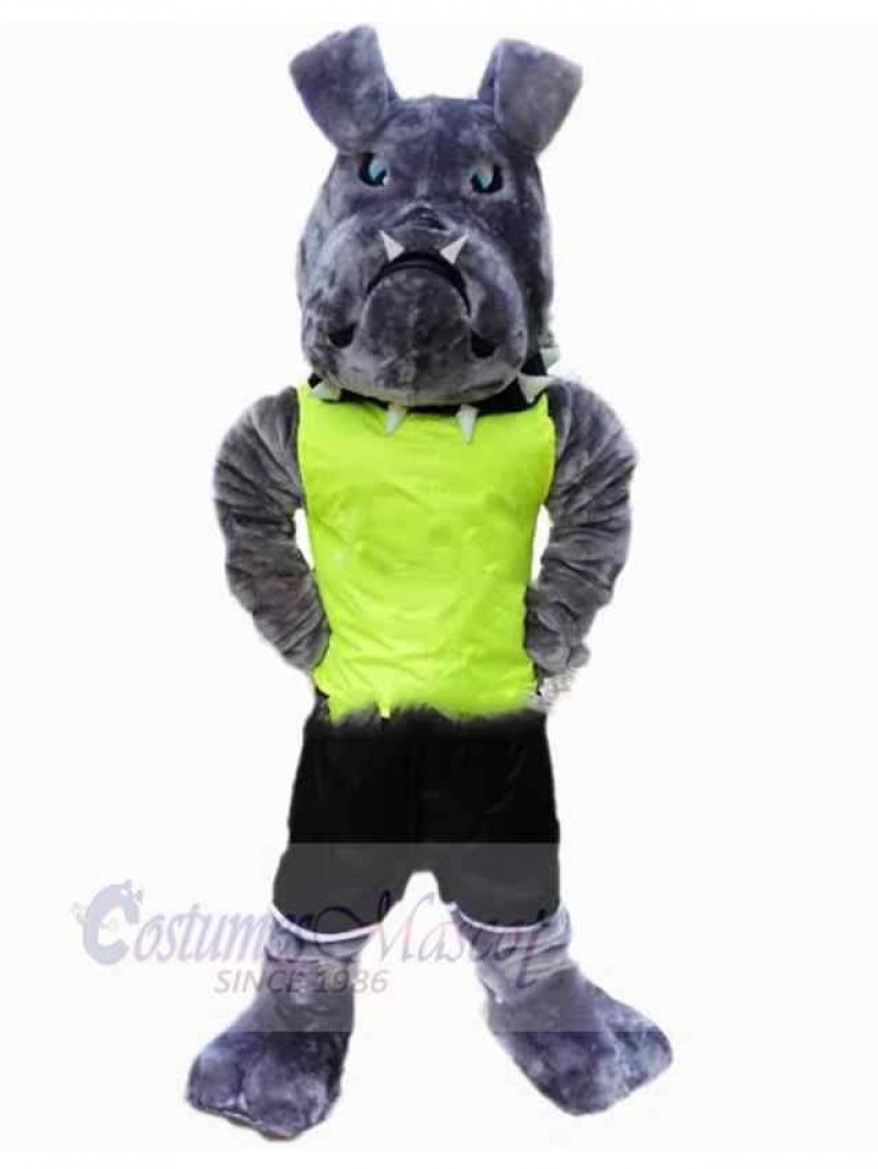 Dog mascot costume