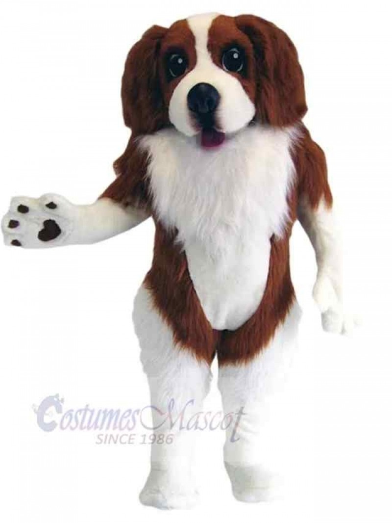 Dog mascot costume