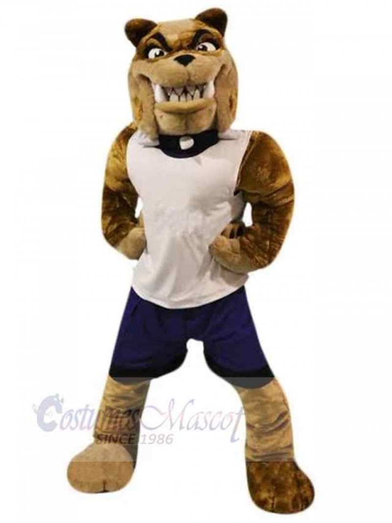 Dog mascot costume
