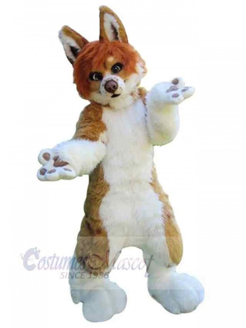 Dog mascot costume