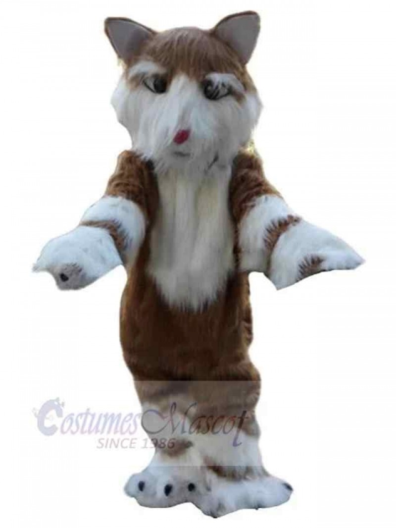 Dog mascot costume