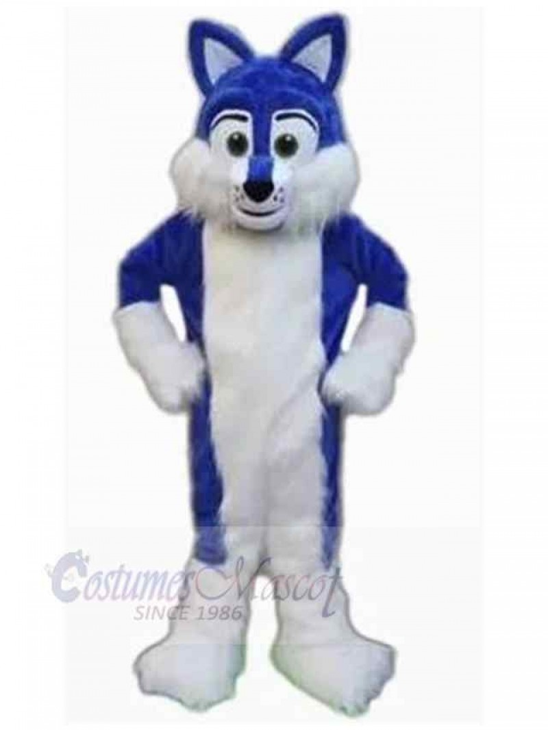 Dog mascot costume