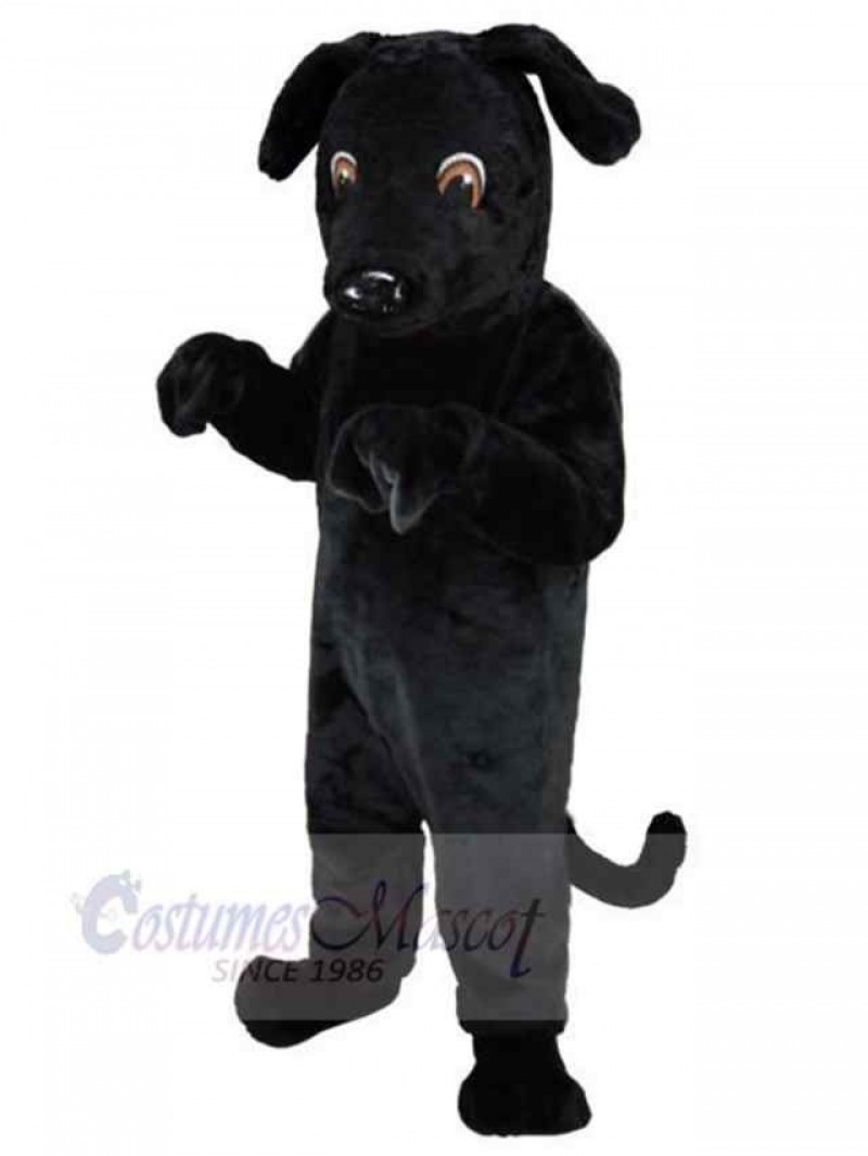 Dog mascot costume