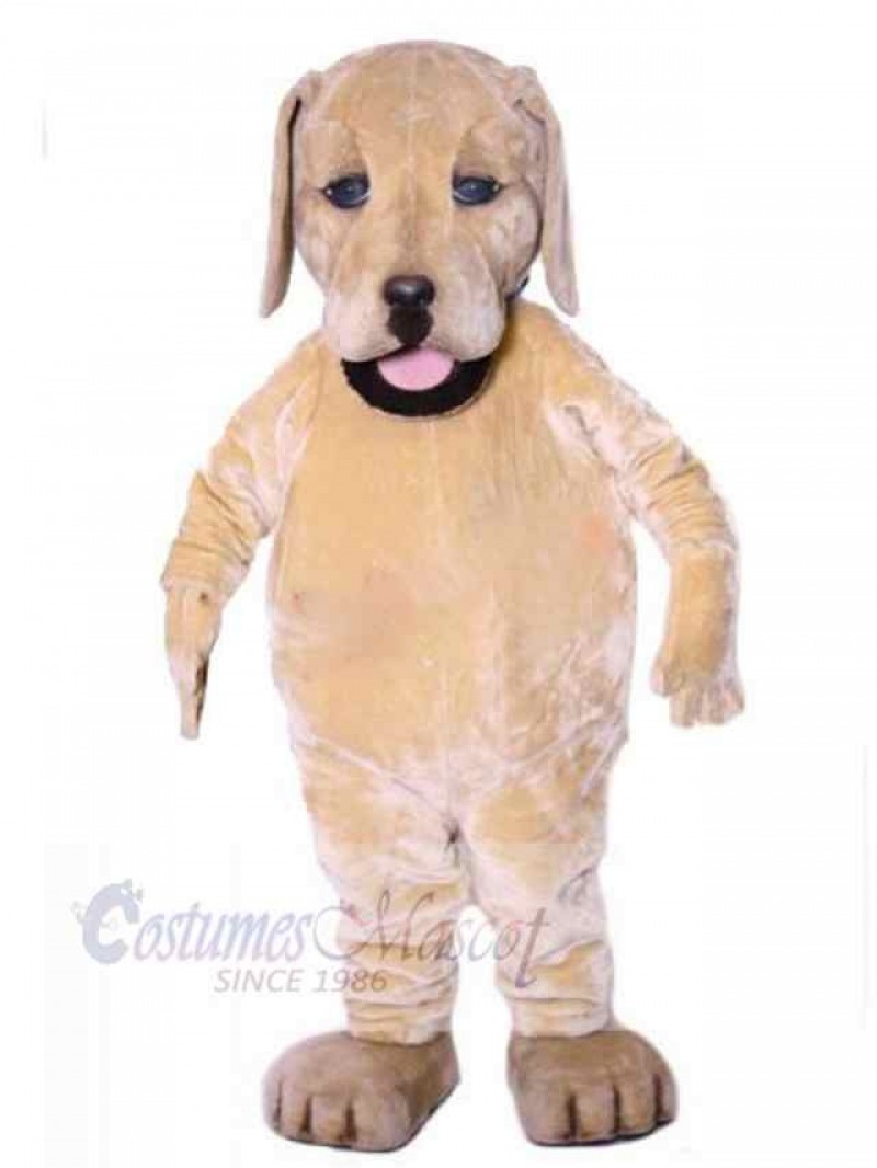 Dog mascot costume