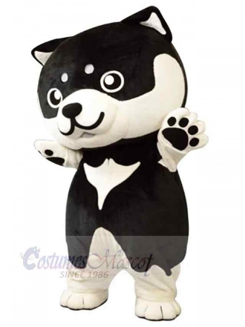 Dog mascot costume