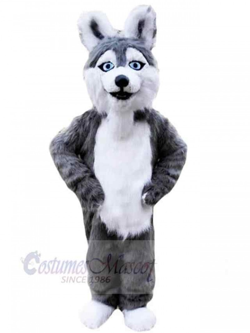 Dog mascot costume