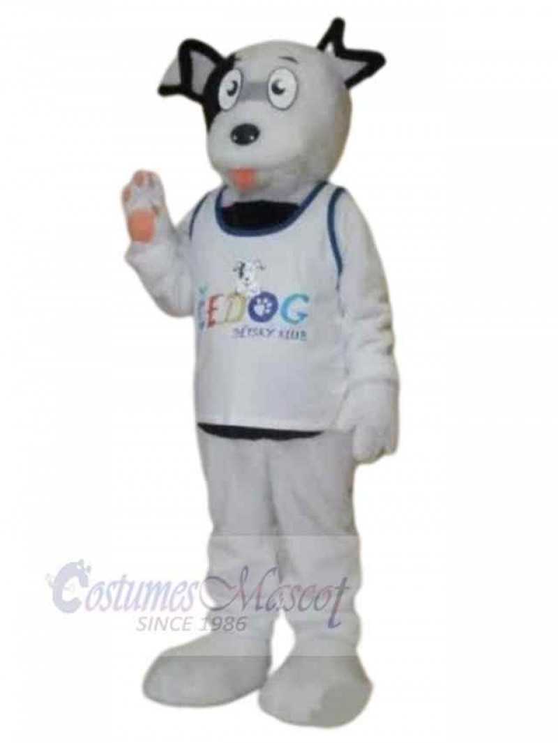 Dog mascot costume