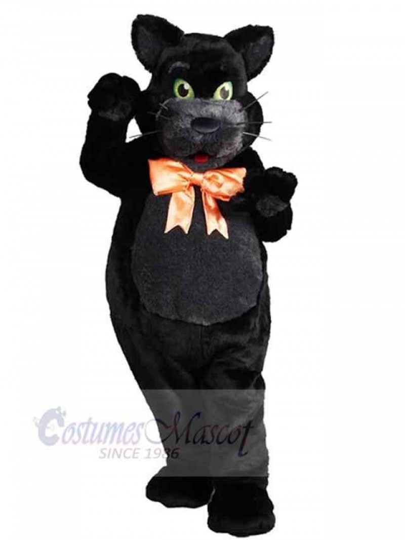 Cat mascot costume