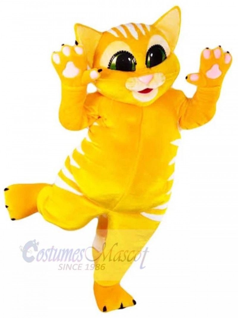 Cat mascot costume