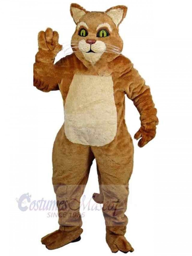 Cat mascot costume