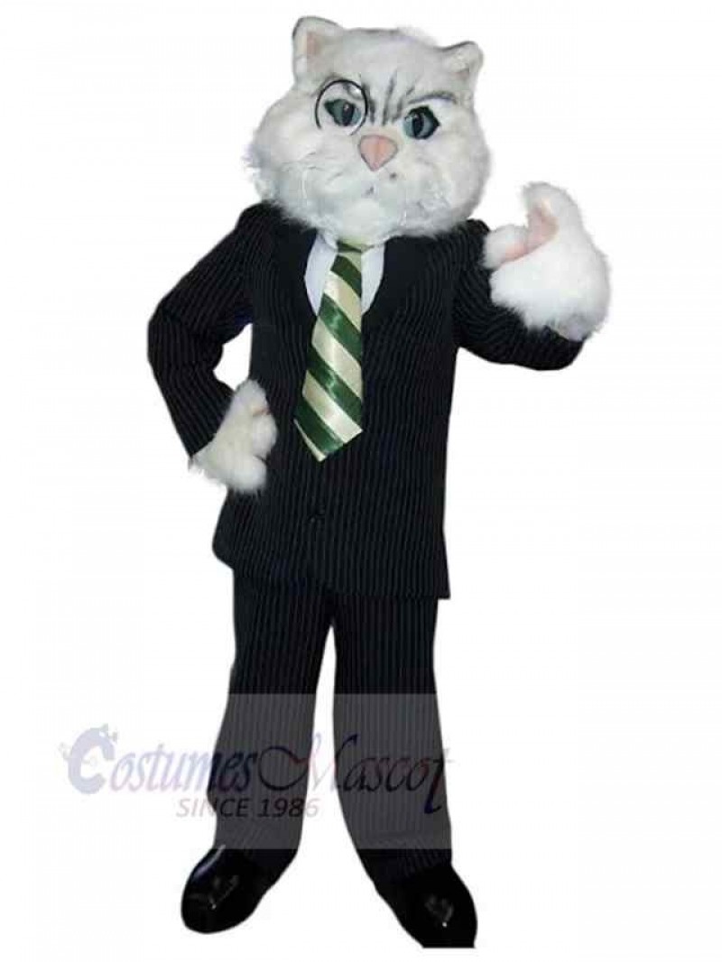 Cat mascot costume