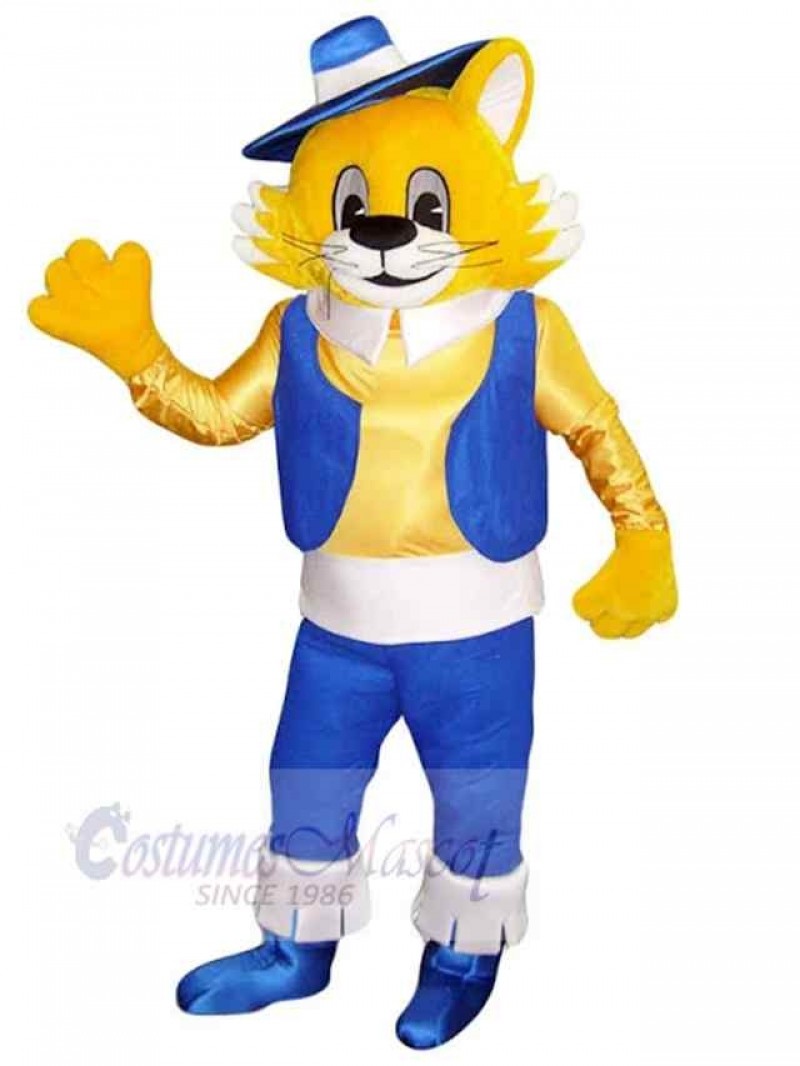 Cat mascot costume