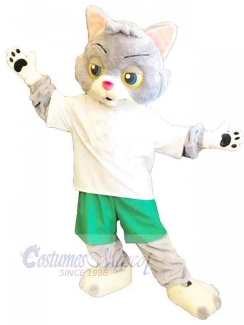 Cat mascot costume