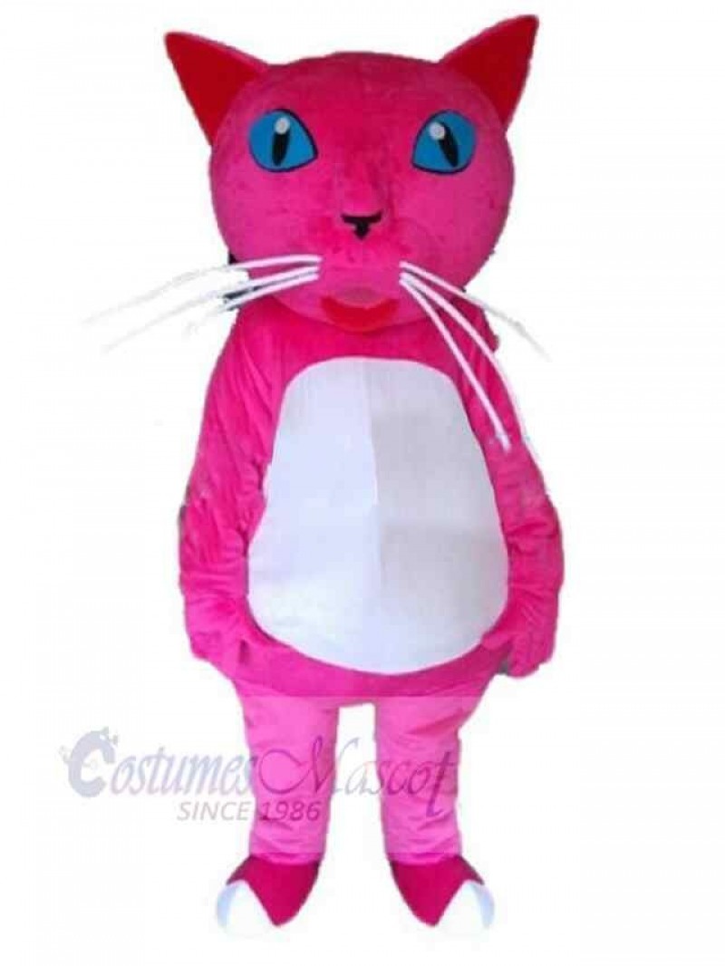 Cat mascot costume