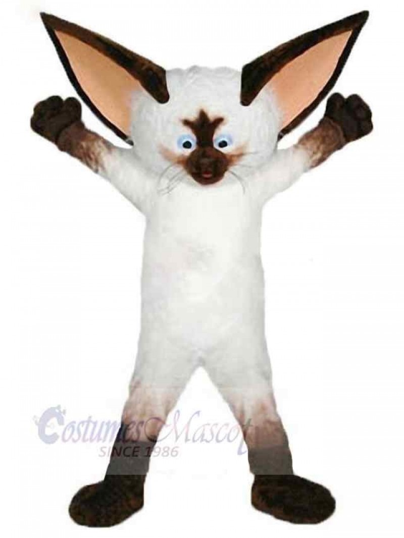 Cat mascot costume