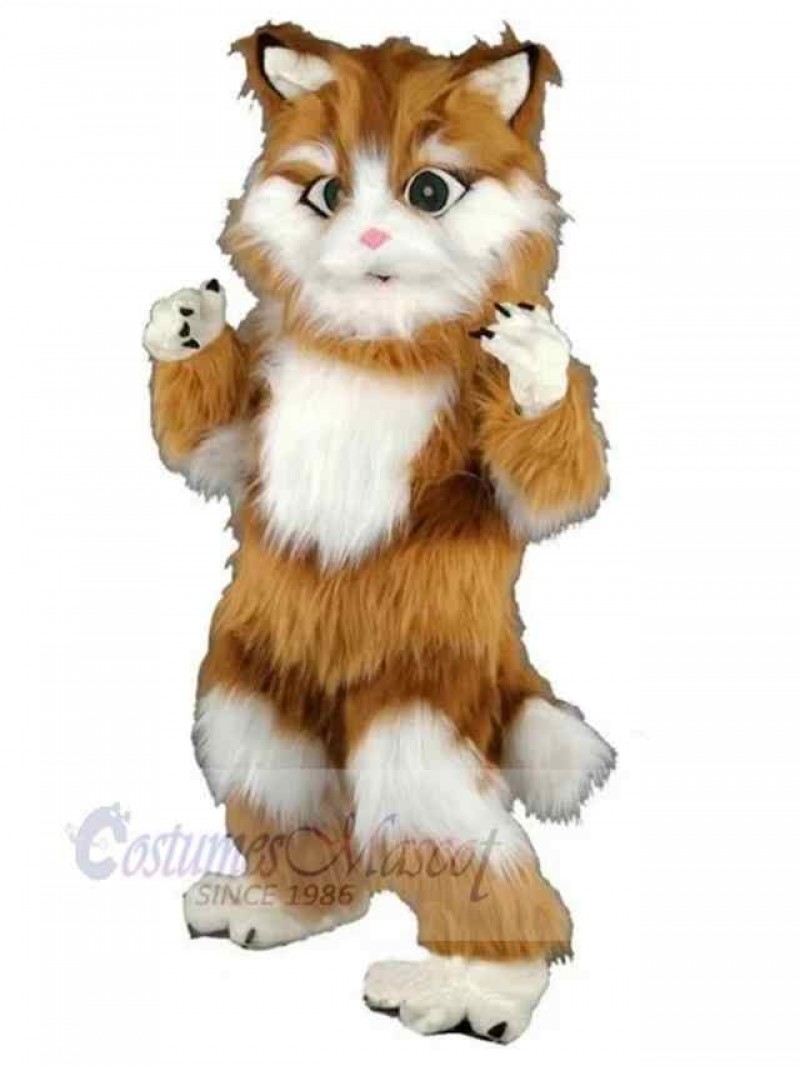 Cat mascot costume