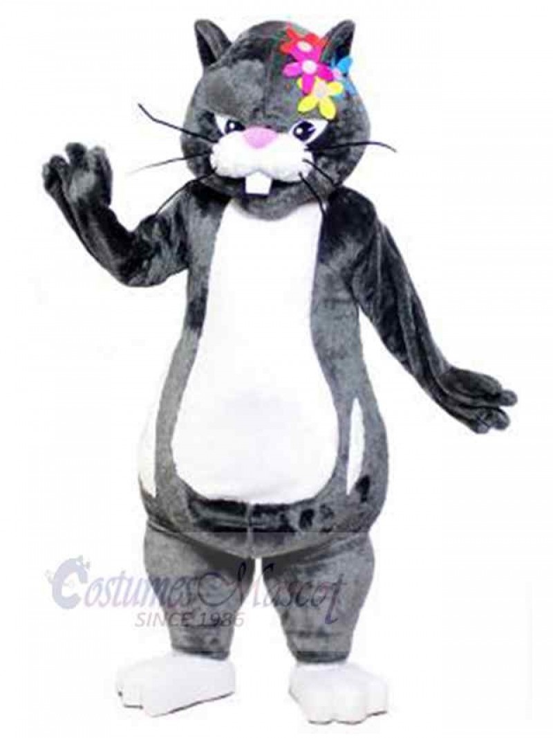 Cat mascot costume