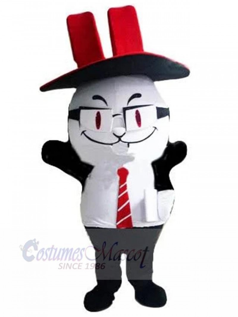 Cat mascot costume