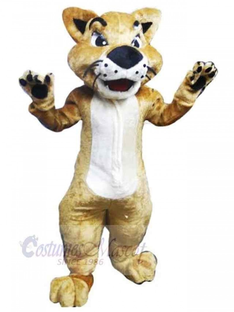 Cat mascot costume