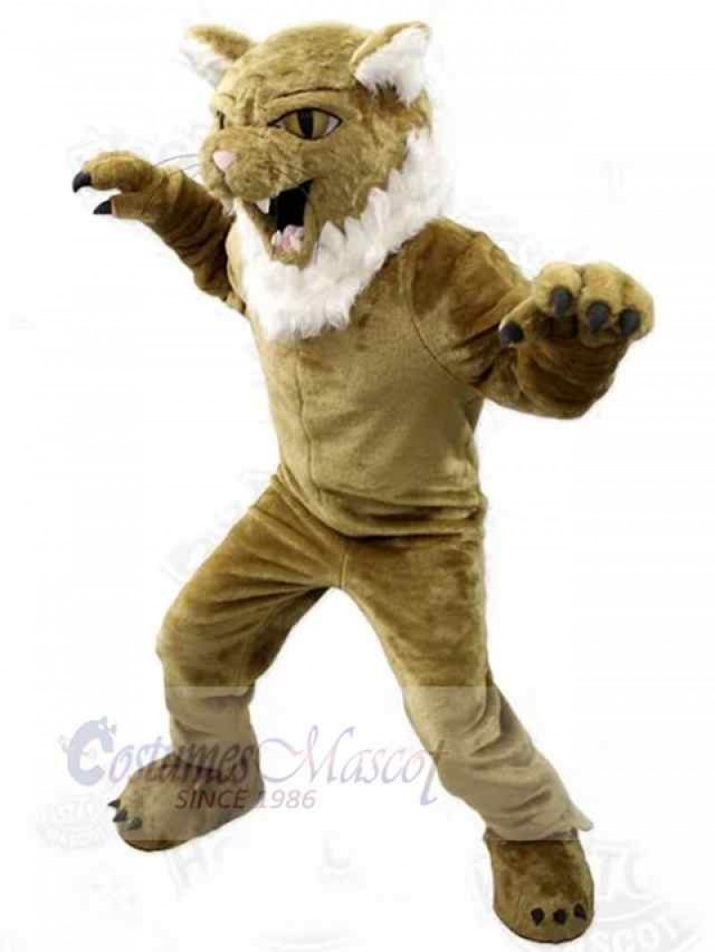 Cat mascot costume