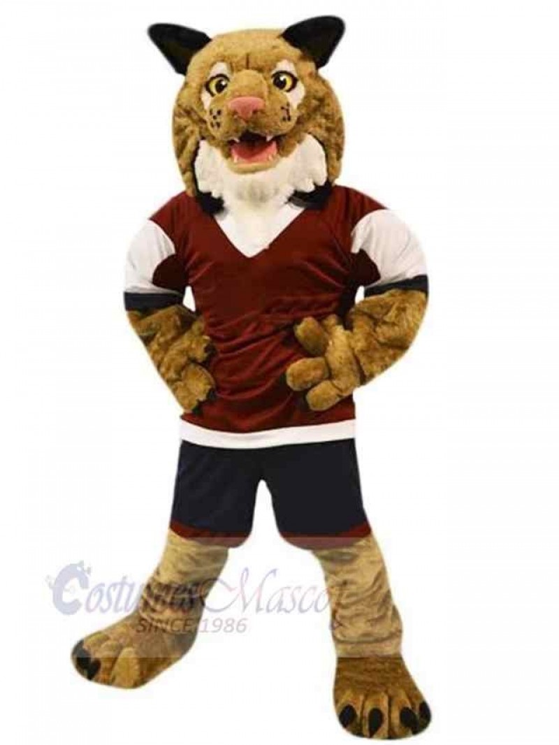 Cat mascot costume