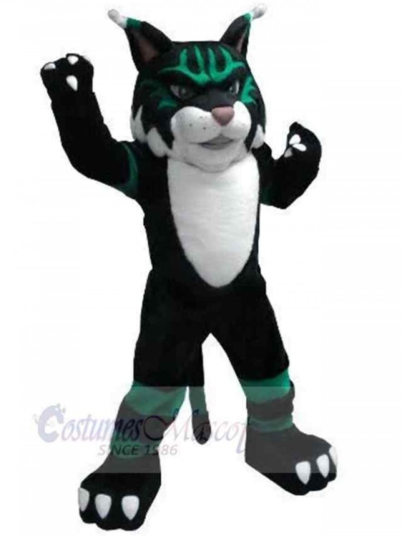 Cat mascot costume