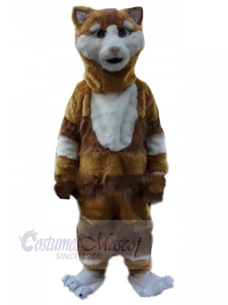 Cat mascot costume