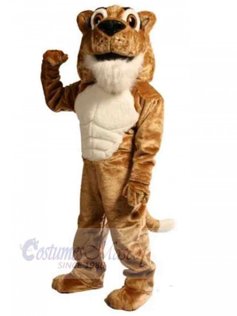Cat mascot costume