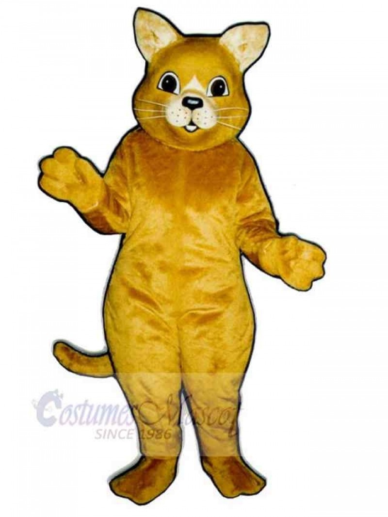 Cat mascot costume