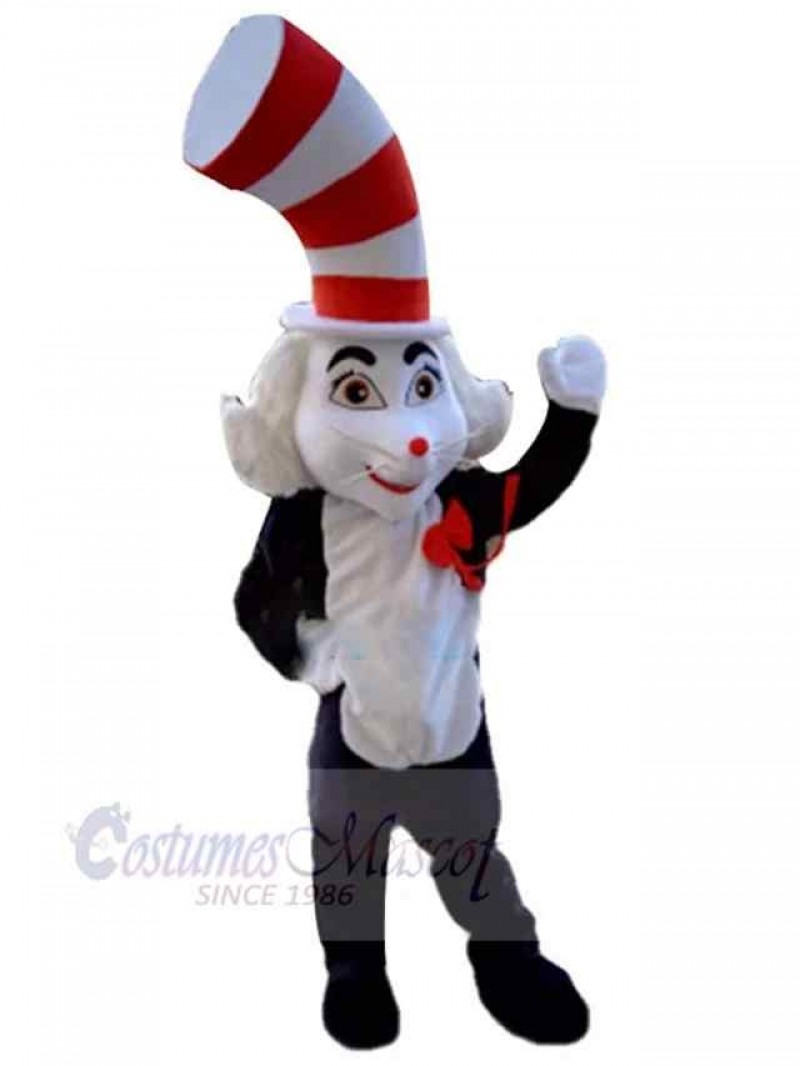 Cat mascot costume