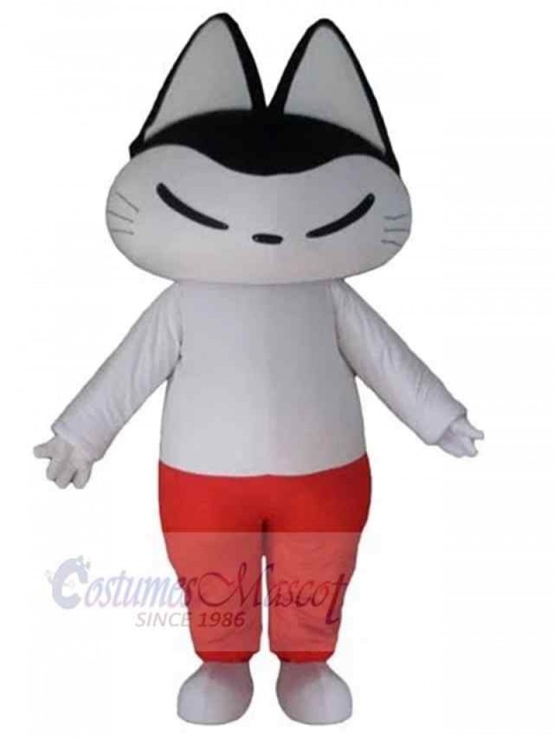 Cat mascot costume