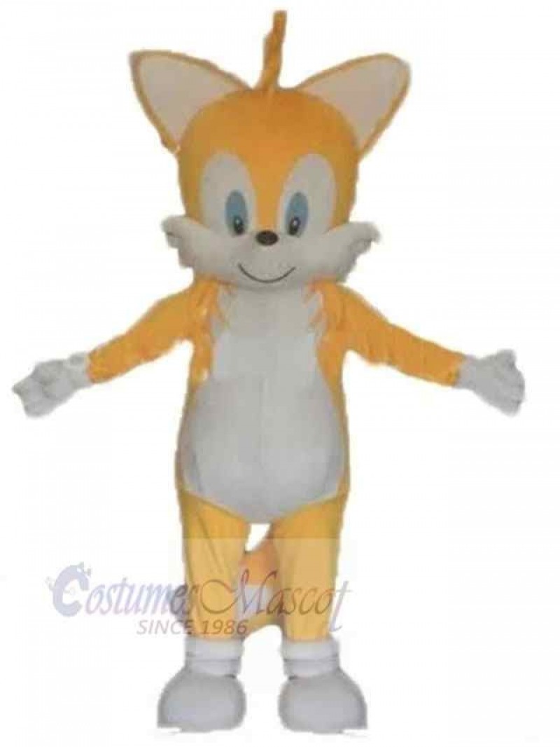 Cat mascot costume