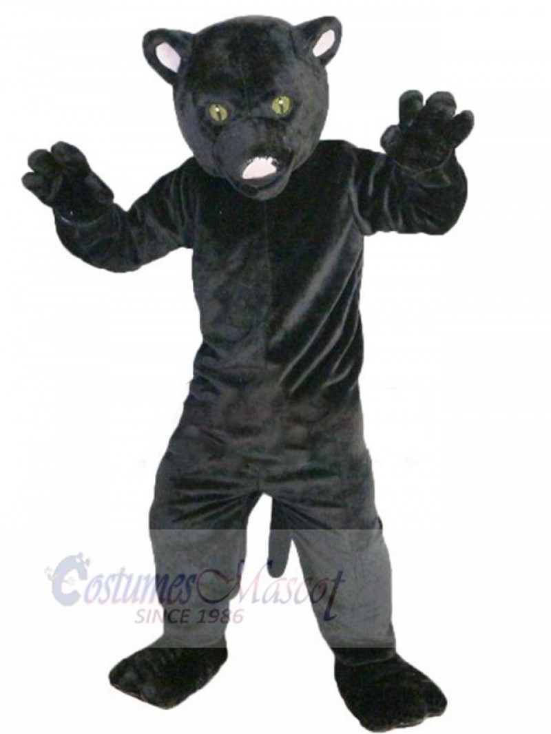 Cat mascot costume