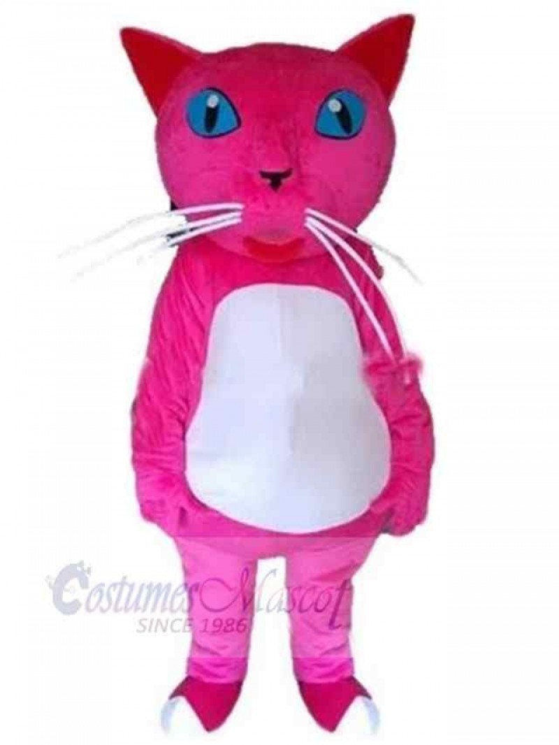 Cat mascot costume