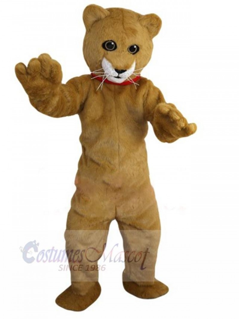 Cat mascot costume