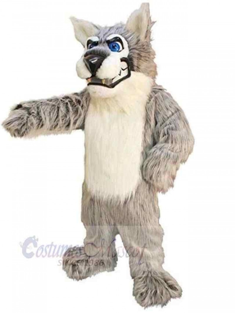 Wolf mascot costume