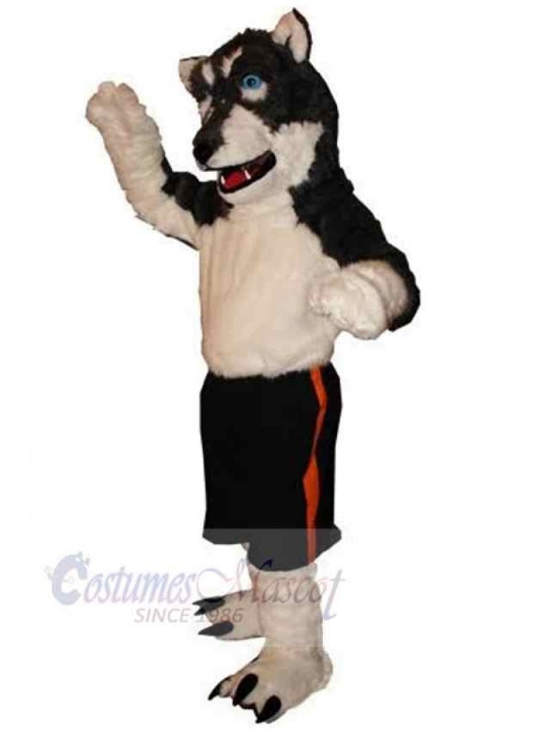 Wolf mascot costume