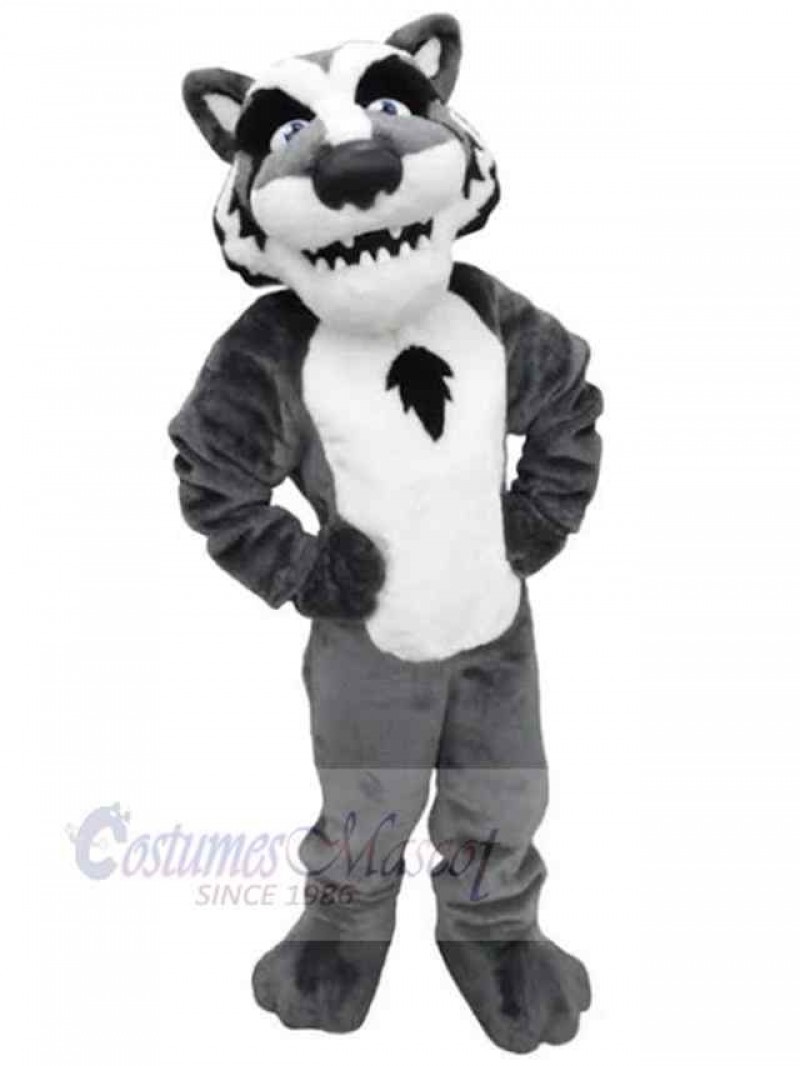 Wolf mascot costume