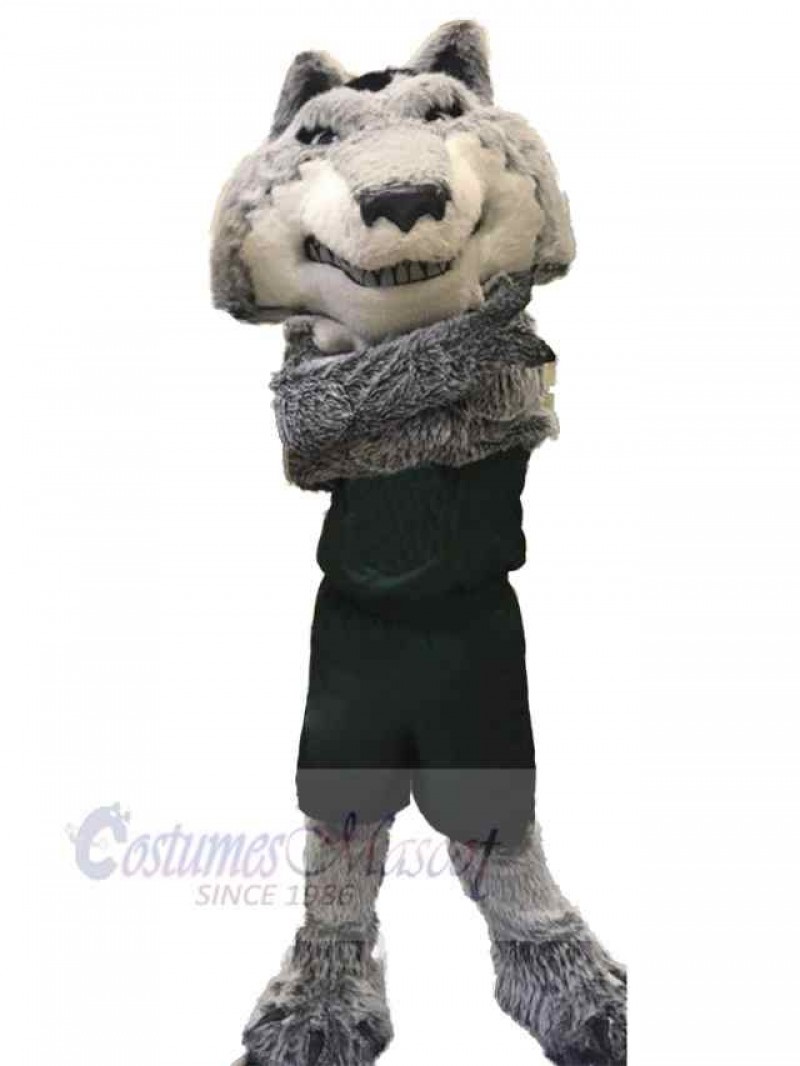 Wolf mascot costume