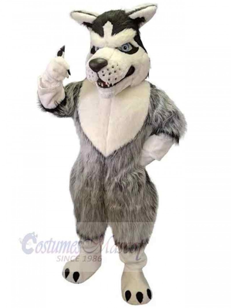 Wolf mascot costume