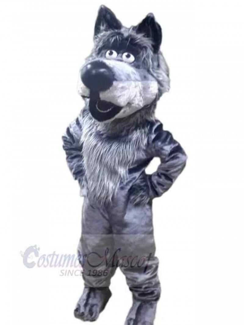 Wolf mascot costume