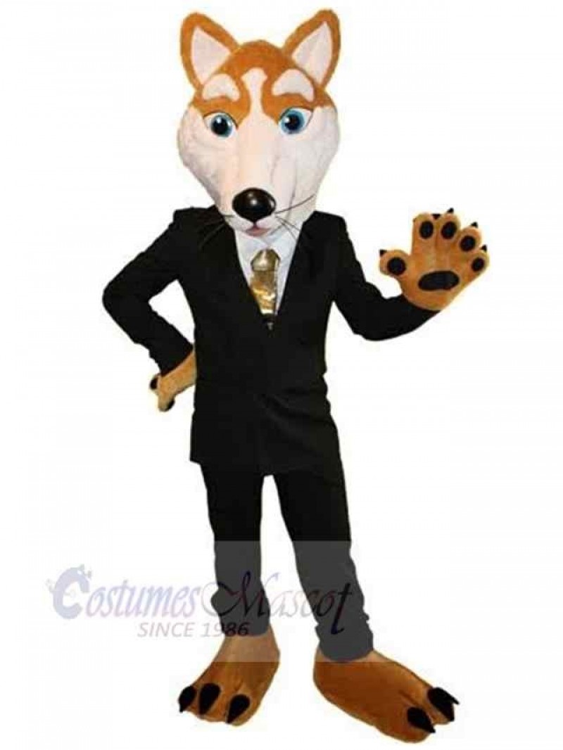 Wolf mascot costume