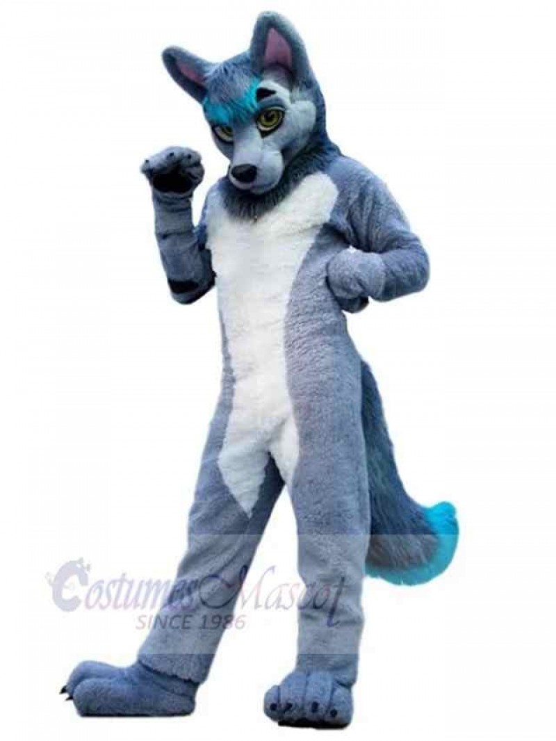 Wolf mascot costume