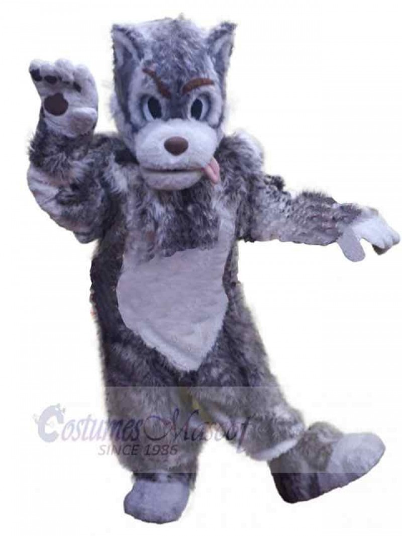 Wolf mascot costume