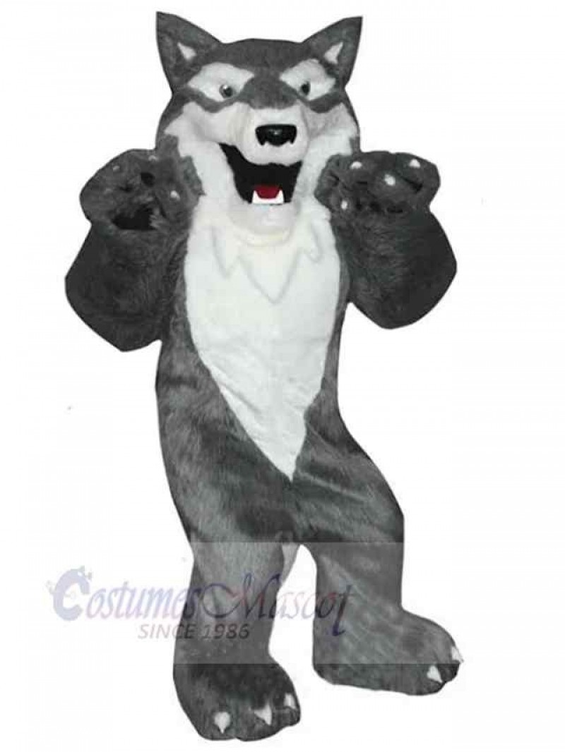 Wolf mascot costume